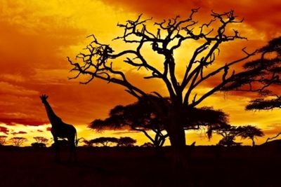 best-travel-agencies-in-africa